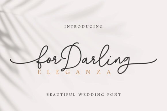 For Darling Font: Elegant Script for Web Design