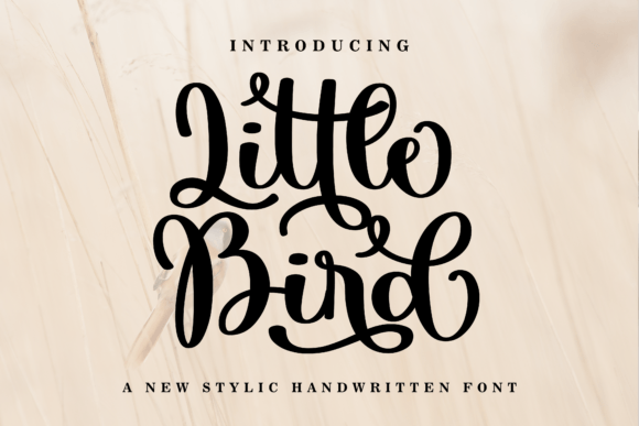 Little Bird Font: A Script Typeface for Makers
