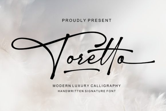 Toretto: A Designer’s Review for Real Projects